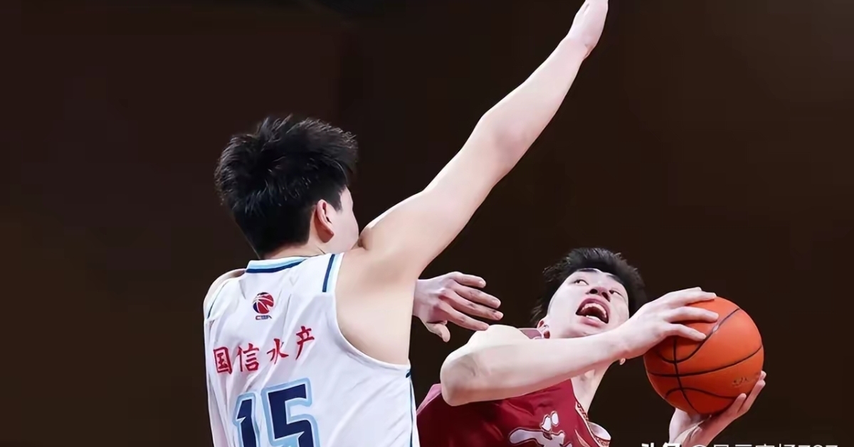 浙江队横扫北京队，张镇麟状态火热的简单介绍