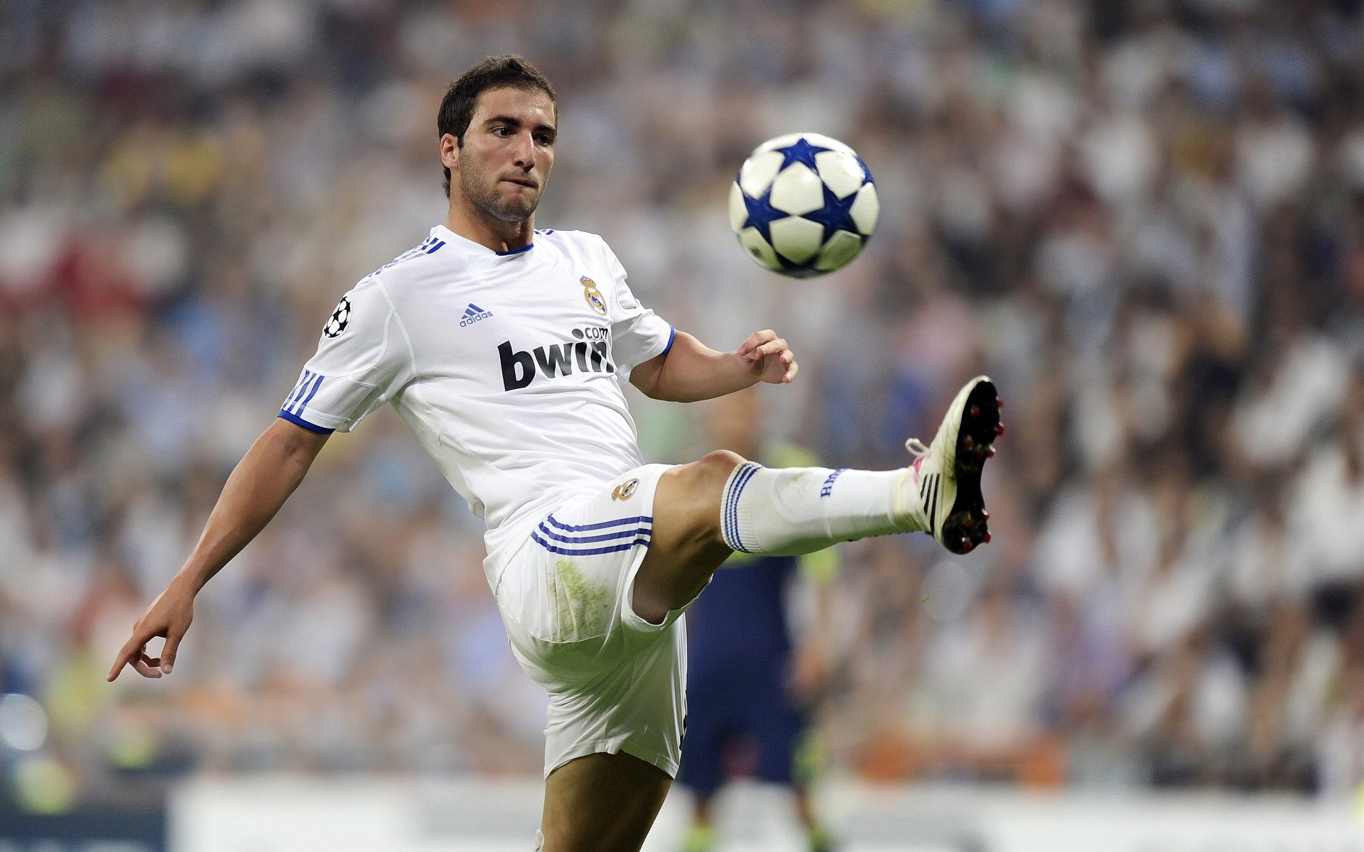 2026世界杯焦点战前瞻，喀麦隆强势拿下里昂，非洲雄狮展露冠军相